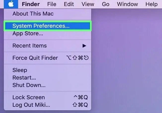 Click on the “System Preferences”